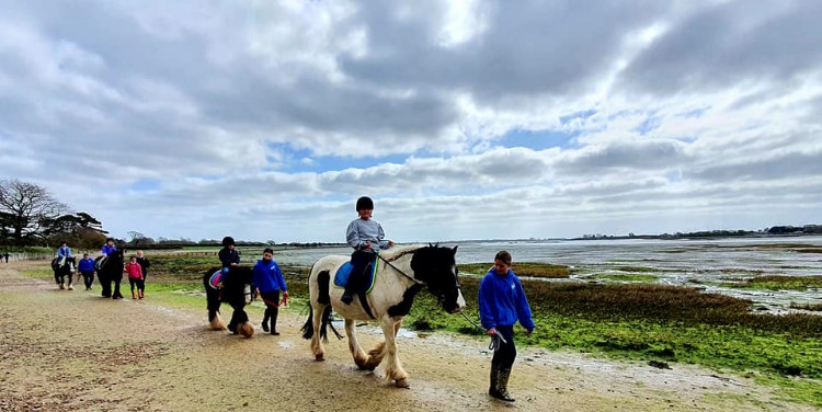 Ride a horse on the beach with Pook Lane riding school