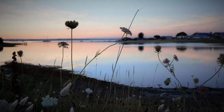 Hayling Island shoreline walks relaxing to the sound of the birds