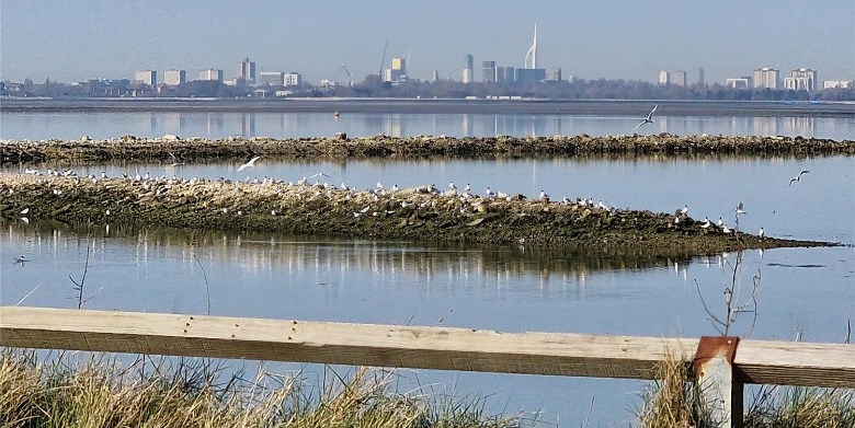 Hayling Island billy trail, walk or rider up the old railway from the bridge to west town