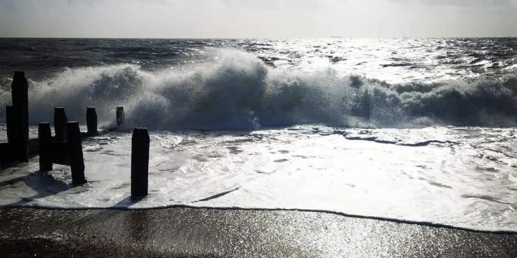 Local Attractions Hayling Island beach walks watching the nature 